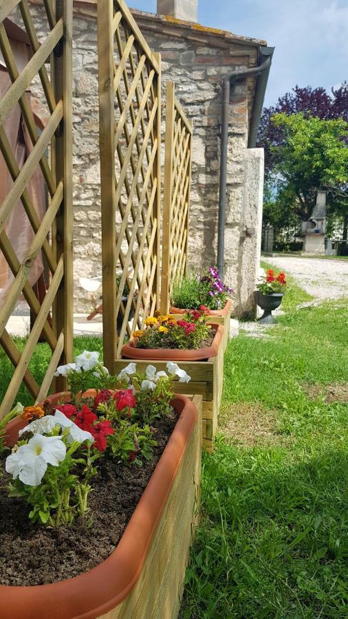 San Paterno B&B Rapolano Terme Luaran gambar