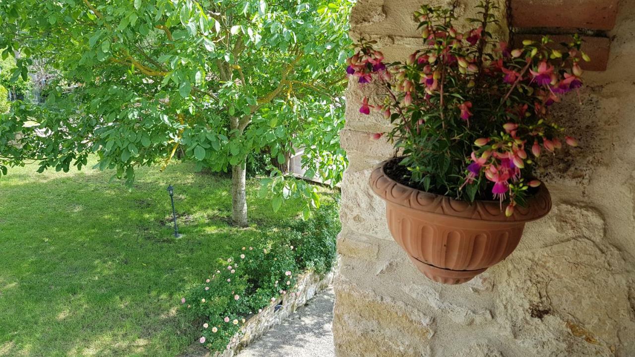 San Paterno B&B Rapolano Terme Luaran gambar