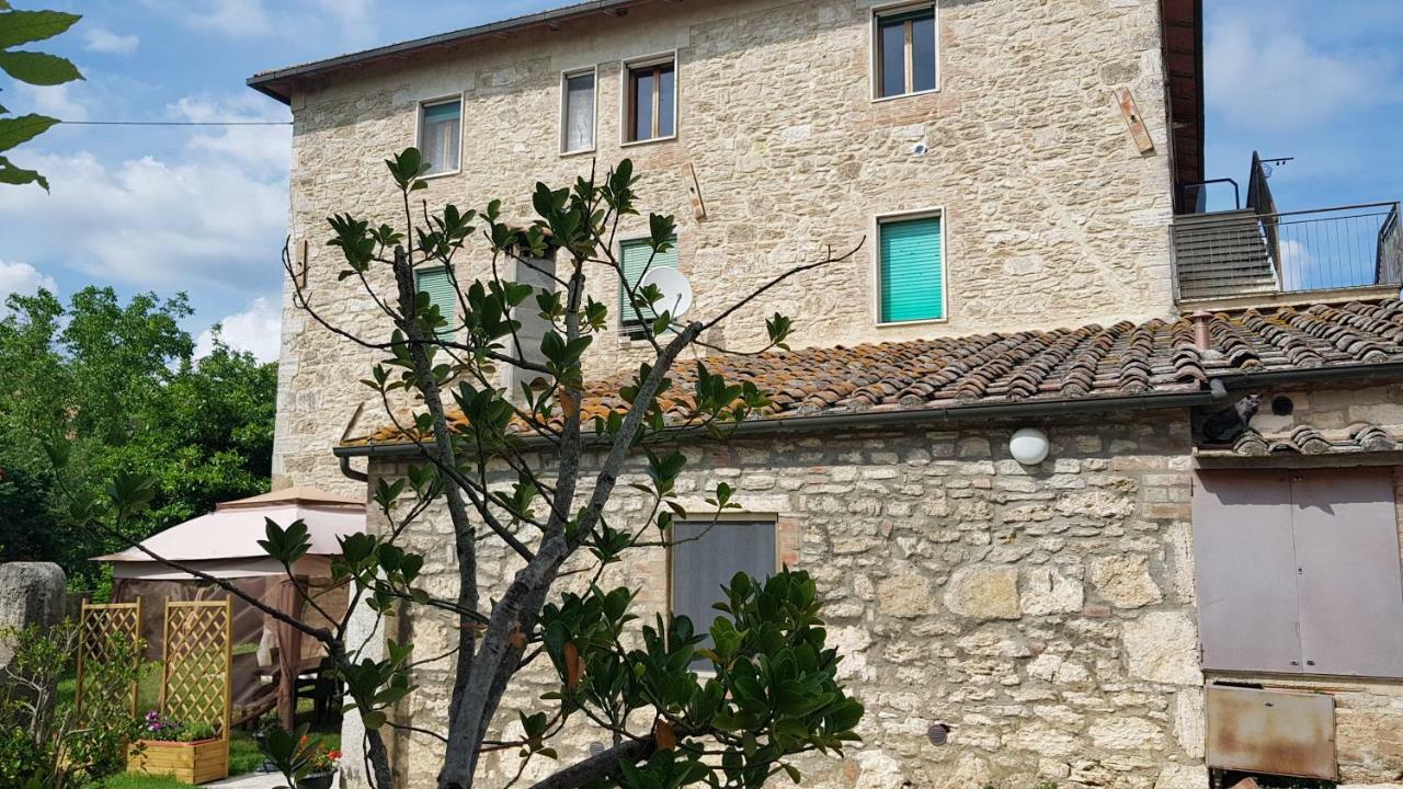 San Paterno B&B Rapolano Terme Luaran gambar