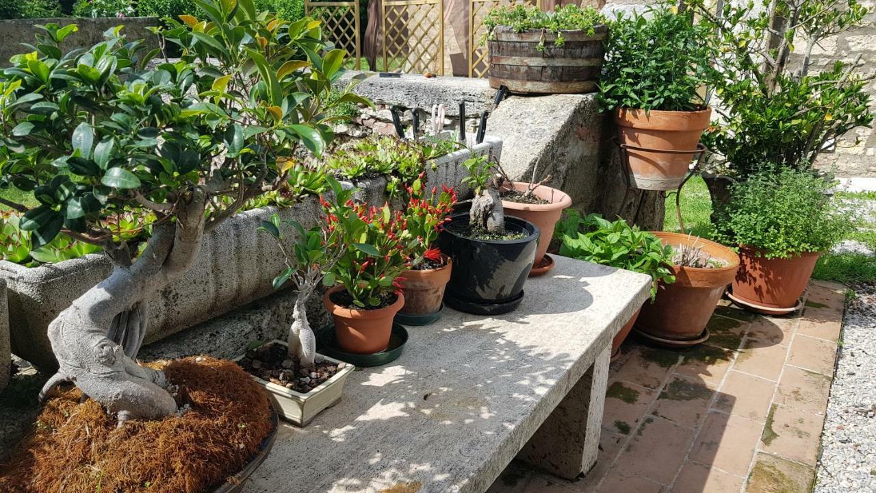 San Paterno B&B Rapolano Terme Luaran gambar