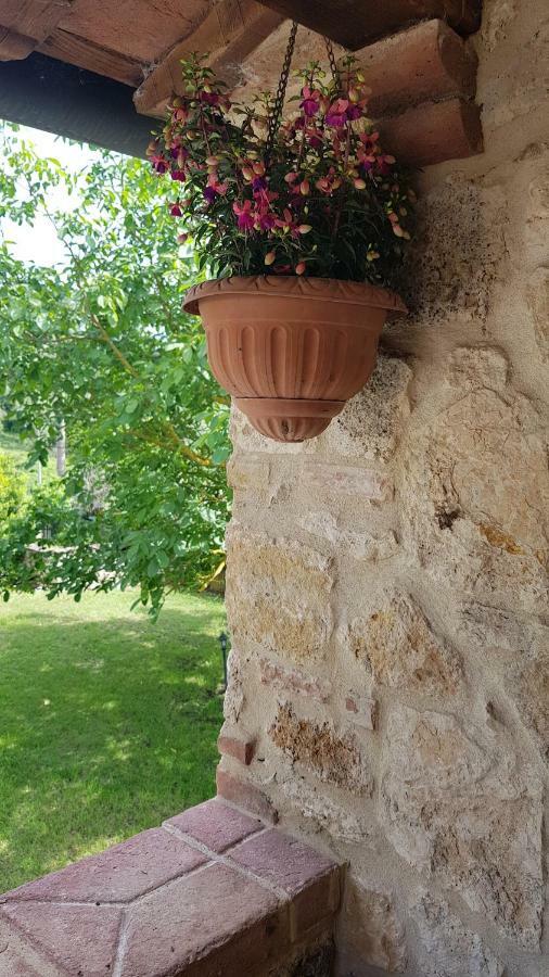 San Paterno B&B Rapolano Terme Luaran gambar